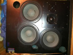 loho quested monitors 2